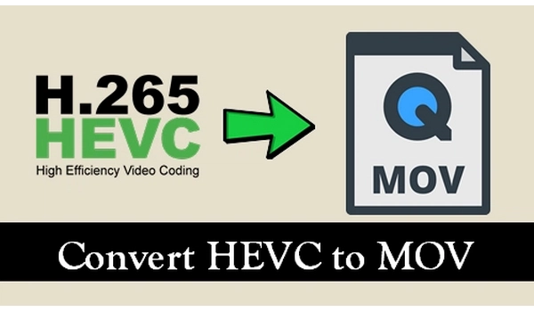 HEVC to MOV Converter