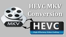 HEVC MKV Conversion