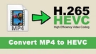 MP4 to HEVC