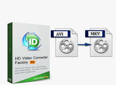 Download HD Video Converter Factory Pro