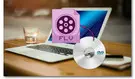 FLV to DVD