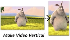 Convert Horizontal Video to Vertical