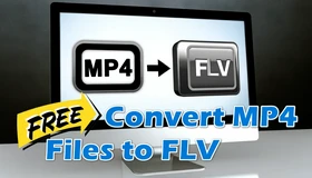 Convert MP4 to FLV