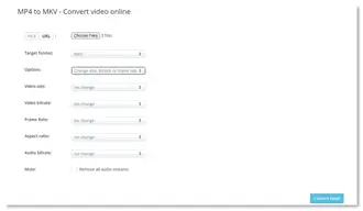 Convert MP4 files to MKV online