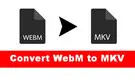 WebM to MKV