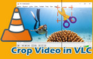 Crop Video in VLC
