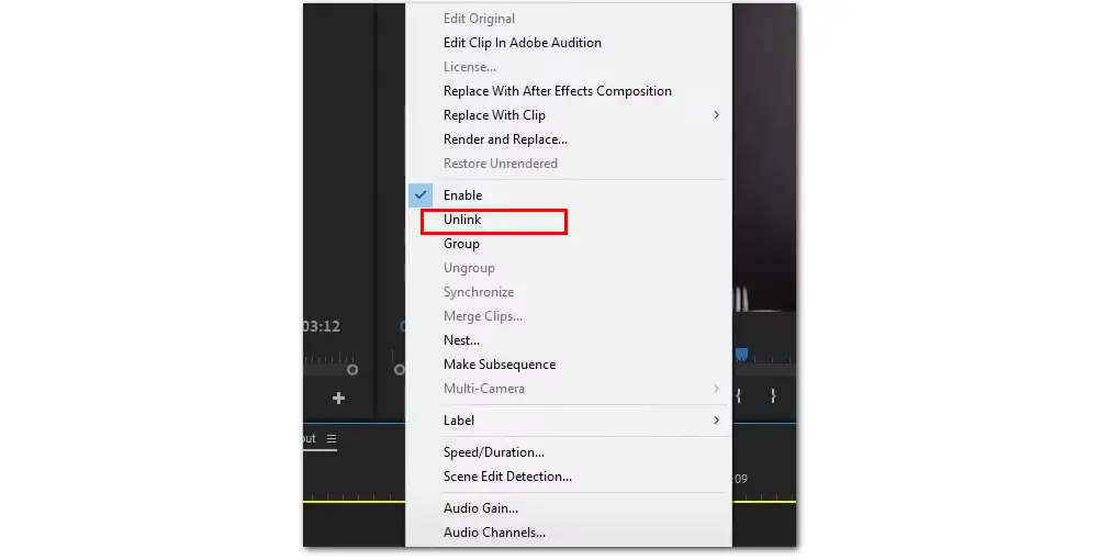 Premiere Pro Separate Audio from Video