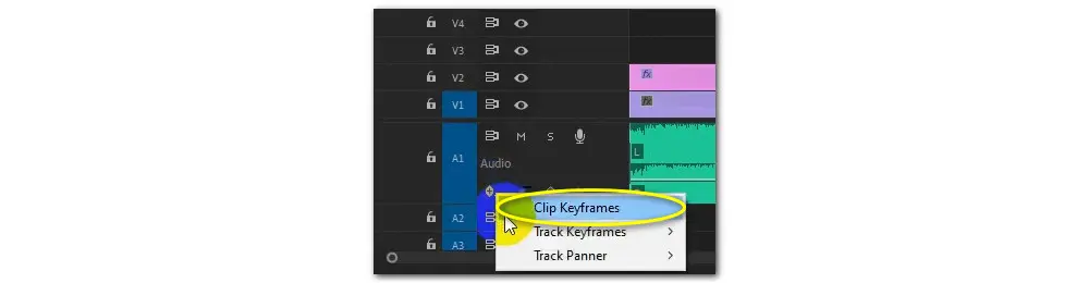 Move Audio Track in Premiere Pro