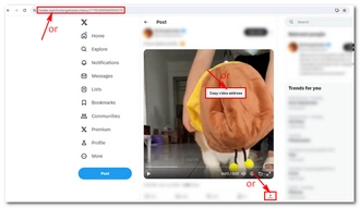 Copy the Twitter Video Link
