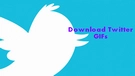 Download Twitter GIF