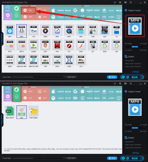 Choose DVD backup or video output format