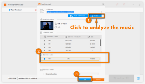 Analyze the Music and Choose the Audio Format