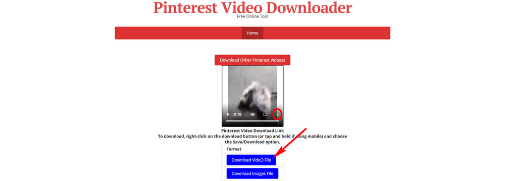 How to Save Videos on Pinterest Video Downloader Online