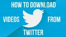 Download Twitter Video