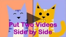 Put Two Videos Side by Side