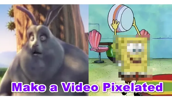 How to Make a Video Pixelated