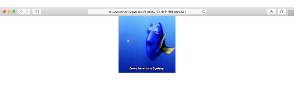 How to view animated GIF images on a Mac