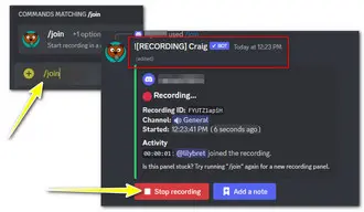 Discord Recording Audio