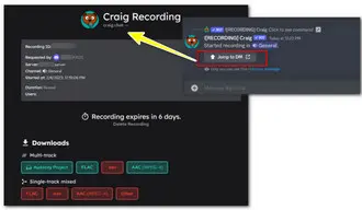 Record Discord Audio