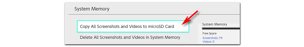 Copy Videos to SD Card