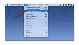 QuickTime Player Record Telegram Call