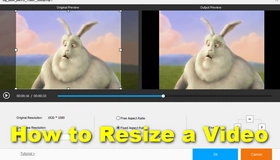 Resize Video