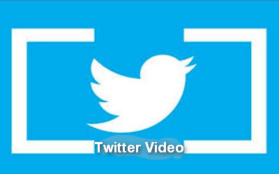 The top 1 Twitter video downloader