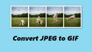 Convert JPEG to GIF