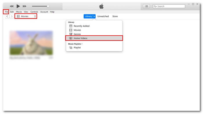 Add DVD to iTunes Library