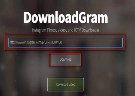 Online downloader for Instagram