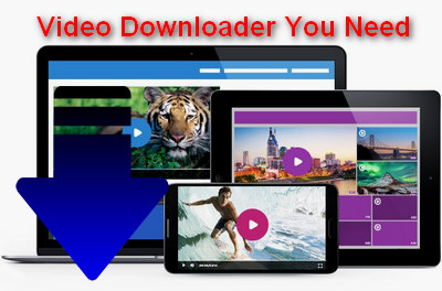Video Downloader You Need