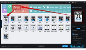 Choose AVI as the Output Format