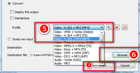 Select MP4 as the Output Format to Convert