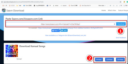 Online Saavn downloader