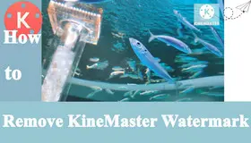 How to Remove KineMaster Watermark