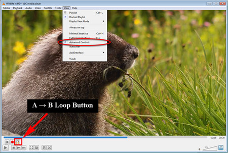 YouTube Loop Part of Video in VLC