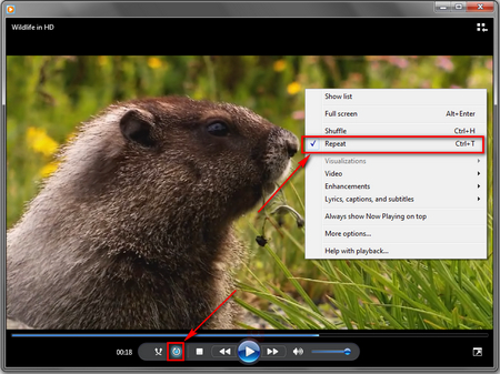 Windows Media Player Loop Video