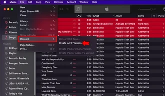 Use iTunes for Windows and Apple Music App for Mac