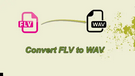 Convert FLV to WAV