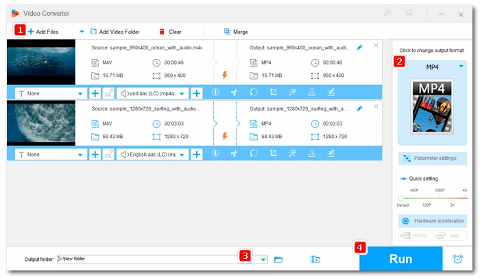 Convert M4V to Other Formats