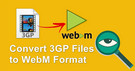 Convert 3GP to WebM