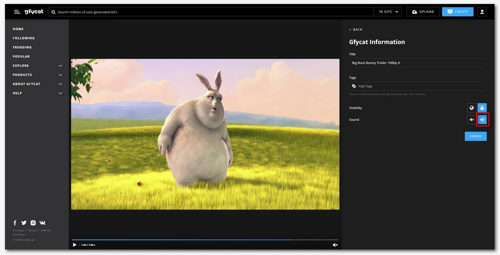 Make GIF with Sound in Gfycat