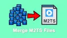 Merge M2TS Files