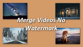 Video Merger without Watermark