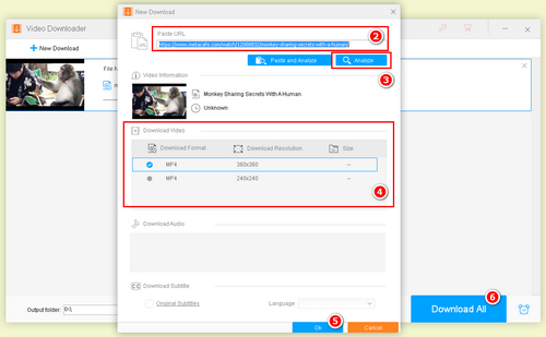 Choose the output video type