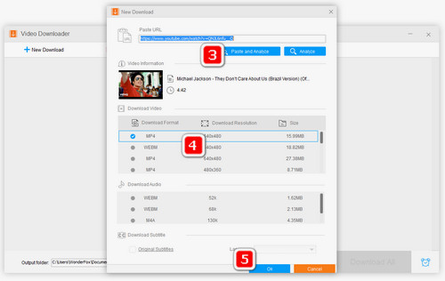 Analyze and format and files path