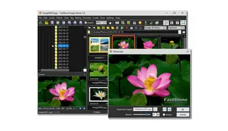 FastStone Image Viewer 