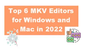 MKV Editor