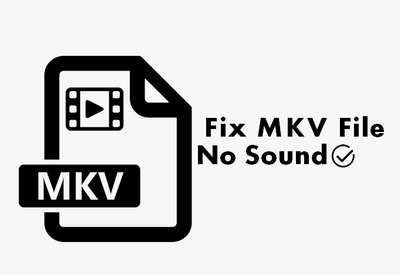 No Audio MKV