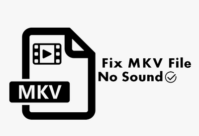 Mkv audio. Файл mkv. No Audio.